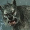 видеочат онлайн Раша Царицин-Сталинцрад-Волглград.