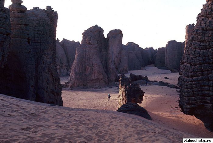 algeria  is nice  this  true  photo