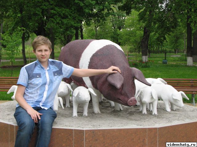 институт свиноводства в Полтаве