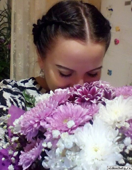 Фото. schima 18 апреля