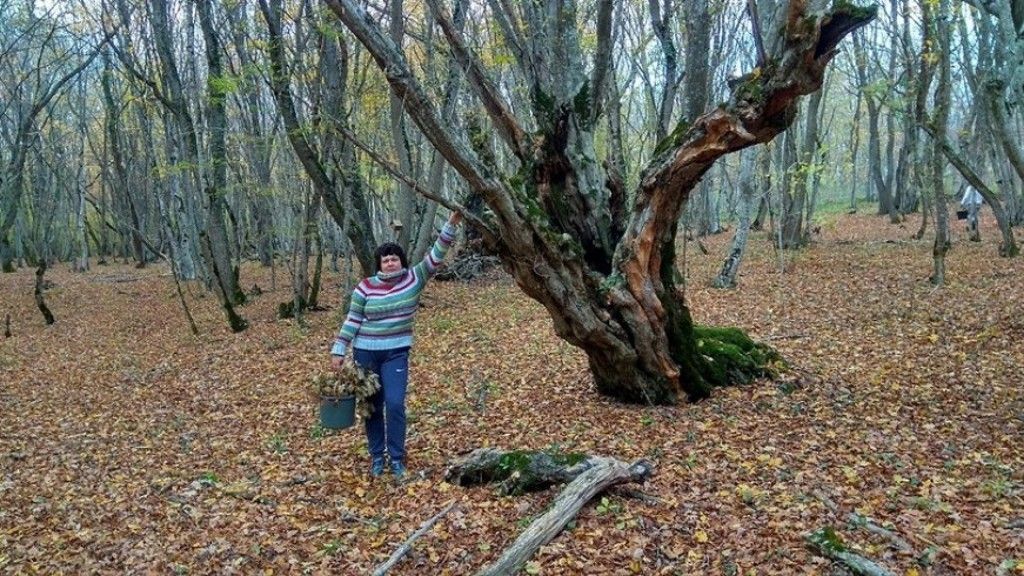 Фото. Foteni 18 августа